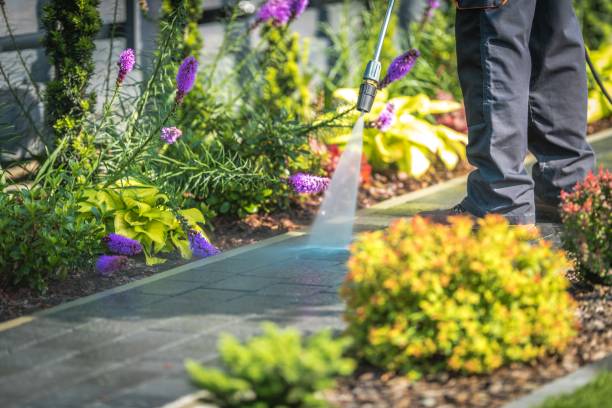 Best Boat and Dock Cleaning  in Oakwood, OH